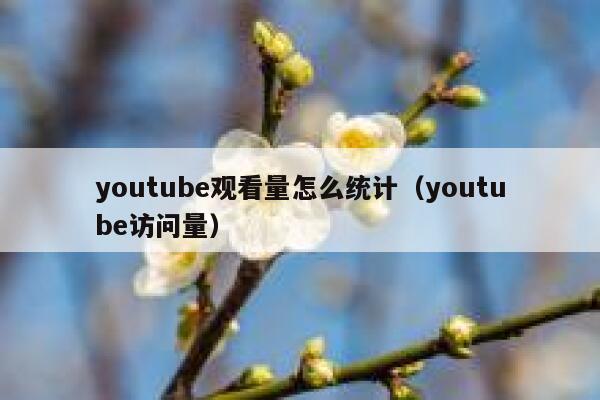 youtube观看量怎么统计（youtube访问量） 第1张