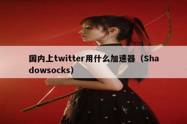 国内上twitter用什么加速器(Shadowsocks) 第1张 国内上twitter用什么加速器(Shadowsocks) 第1张