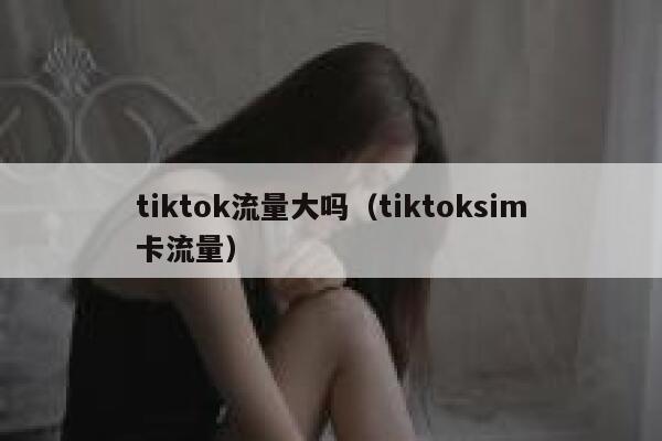 tiktok流量大吗（tiktoksim卡流量） 第1张