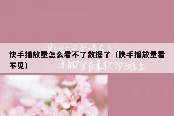 快手播放量怎么看不了数据了（快手播放量看不见） 第1张