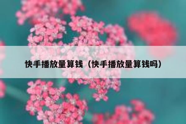 快手播放量算钱（快手播放量算钱吗） 第1张
