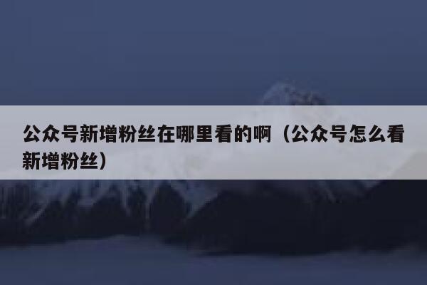 公众号新增粉丝在哪里看的啊（公众号怎么看新增粉丝） 第1张