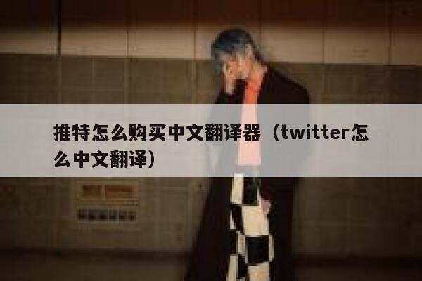 推特怎么购买中文翻译器（twitter怎么中文翻译） 第1张