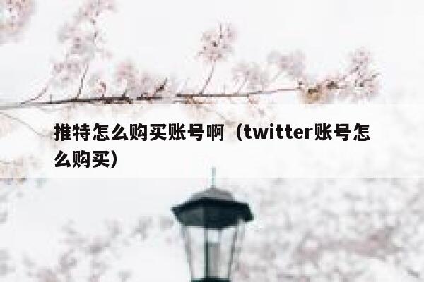 推特怎么购买账号啊（twitter账号怎么购买） 第1张