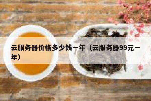 云服务器价格多少钱一年（云服务器99元一年） 第1张