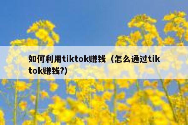 如何利用tiktok赚钱（怎么通过tiktok赚钱?） 第1张
