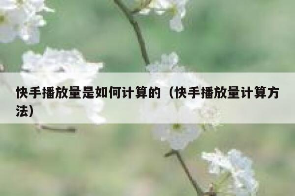 快手播放量是如何计算的（快手播放量计算方法） 第1张