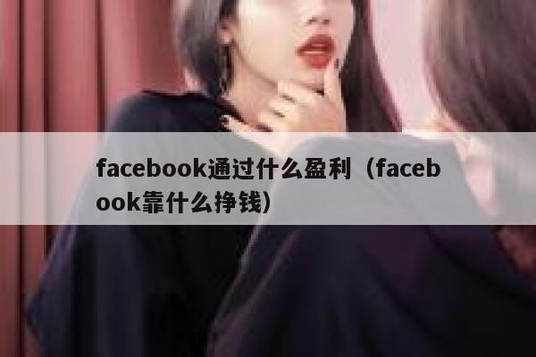 facebook通过什么盈利（facebook靠什么挣钱） 第1张