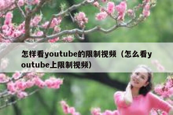 怎样看youtube的限制视频（怎么看youtube上限制视频） 第1张