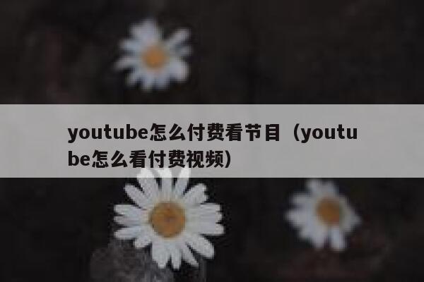 youtube怎么付费看节目（youtube怎么看付费视频） 第1张
