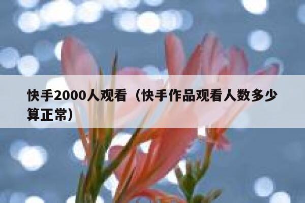 快手2000人观看（快手作品观看人数多少算正常） 第1张