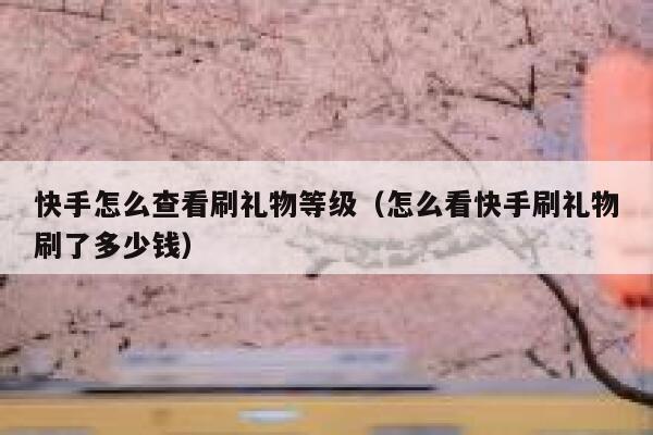 快手怎么查看刷礼物等级（怎么看快手刷礼物刷了多少钱） 第1张