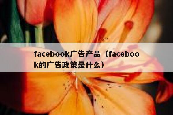 facebook广告产品（facebook的广告政策是什么） 第1张