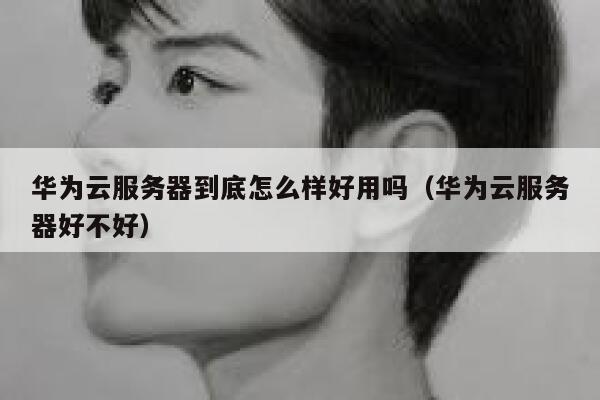 华为云服务器到底怎么样好用吗（华为云服务器好不好） 第1张