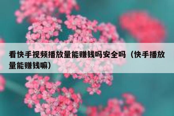 看快手视频播放量能赚钱吗安全吗（快手播放量能赚钱嘛） 第1张