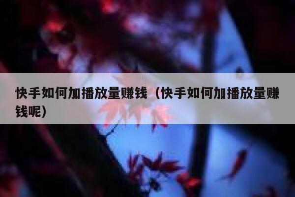 快手如何加播放量赚钱（快手如何加播放量赚钱呢） 第1张