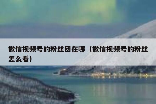 微信视频号的粉丝团在哪（微信视频号的粉丝怎么看） 第1张