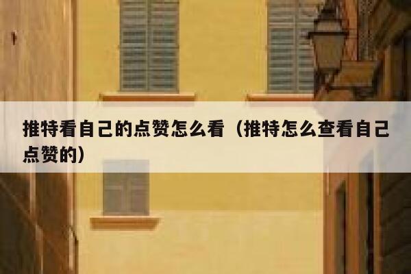 推特看自己的点赞怎么看(推特怎么查看自己点赞的) 第1张 推特看自己的点赞怎么看(推特怎么查看自己点赞的) 第1张