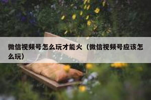 微信视频号怎么玩才能火(微信视频号应该怎么玩) 第1张 微信视频号怎么玩才能火(微信视频号应该怎么玩) 第1张