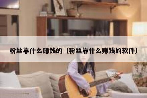 粉丝靠什么赚钱的（粉丝靠什么赚钱的软件） 第1张