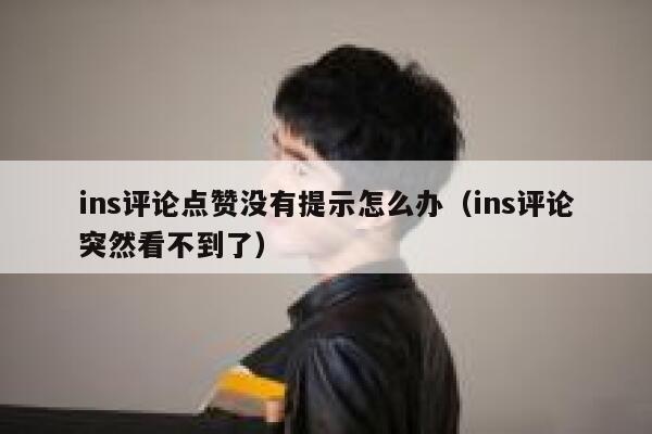 ins评论点赞没有提示怎么办（ins评论突然看不到了） 第1张