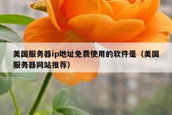 美国服务器ip地址免费使用的软件是（美国服务器网站推荐） 第1张
