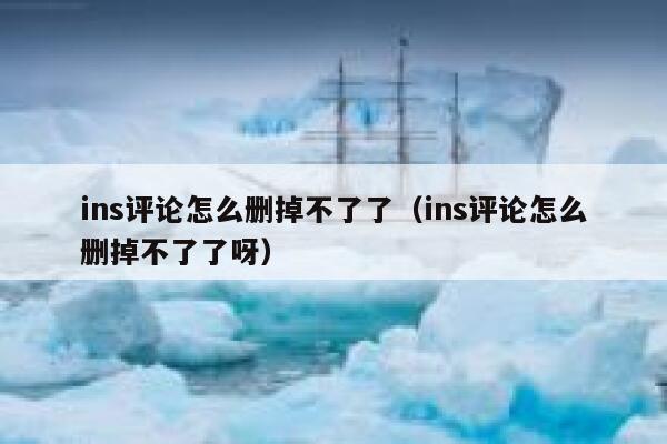 ins评论怎么删掉不了了（ins评论怎么删掉不了了呀） 第1张