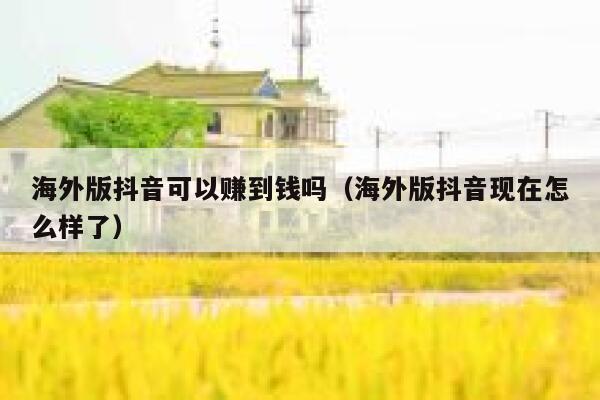 海外版抖音可以赚到钱吗（海外版抖音现在怎么样了） 第1张