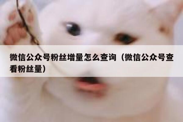 微信公众号粉丝增量怎么查询（微信公众号查看粉丝量） 第1张