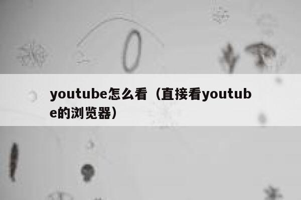 youtube怎么看（直接看youtube的浏览器） 第1张