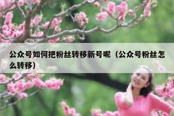 公众号如何把粉丝转移新号呢（公众号粉丝怎么转移） 第1张