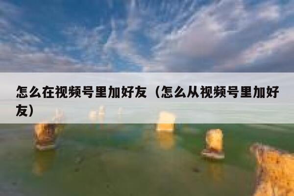 怎么在视频号里加好友（怎么从视频号里加好友） 第1张