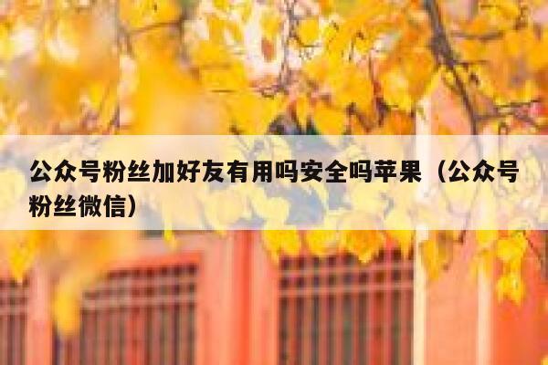 公众号粉丝加好友有用吗安全吗苹果（公众号粉丝微信） 第1张