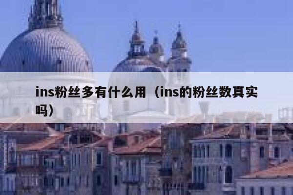 ins粉丝多有什么用(ins的粉丝数真实吗) 第1张 ins粉丝多有什么用(ins的粉丝数真实吗) 第1张