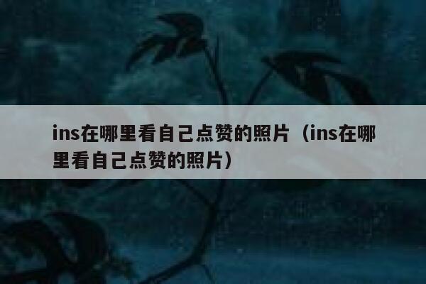 ins在哪里看自己点赞的照片（ins在哪里看自己点赞的照片） 第1张