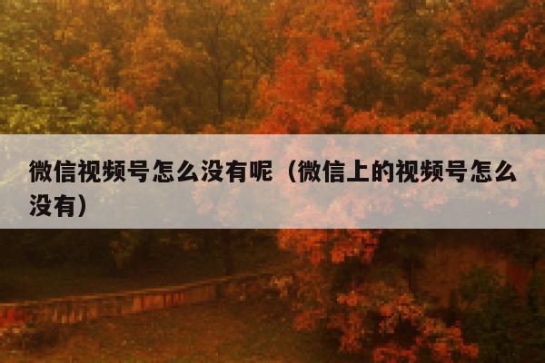 微信视频号怎么没有呢（微信上的视频号怎么没有） 第1张
