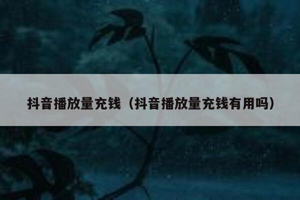 抖音播放量充钱（抖音播放量充钱有用吗） 第1张