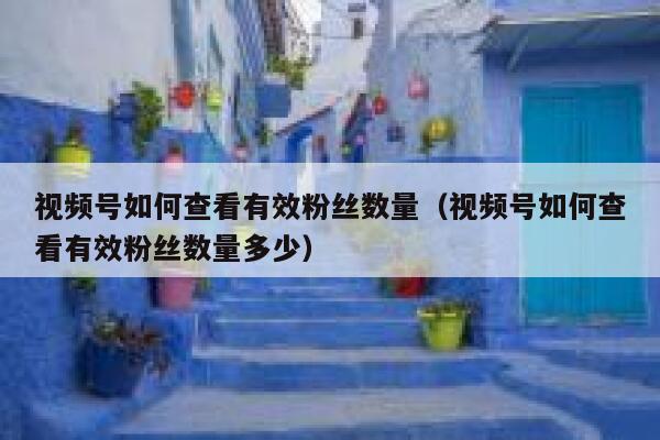 视频号如何查看有效粉丝数量（视频号如何查看有效粉丝数量多少） 第1张