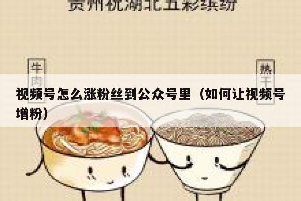 视频号怎么涨粉丝到公众号里（如何让视频号增粉） 第1张