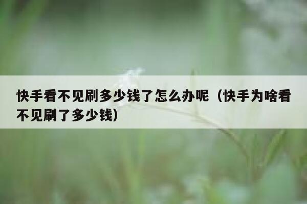 快手看不见刷多少钱了怎么办呢（快手为啥看不见刷了多少钱） 第1张