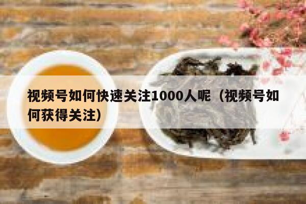 视频号如何快速关注1000人呢（视频号如何获得关注） 第1张