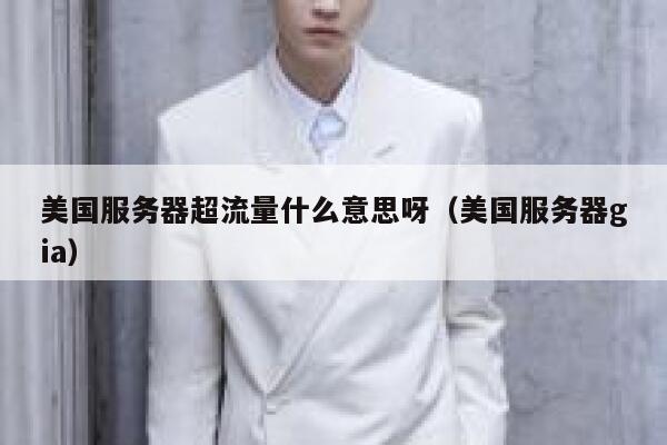 美国服务器超流量什么意思呀（美国服务器gia） 第1张