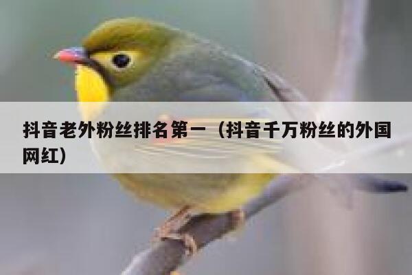 抖音老外粉丝排名第一（抖音千万粉丝的外国网红） 第1张