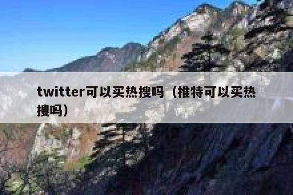 twitter可以买热搜吗（推特可以买热搜吗） 第1张