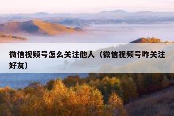 微信视频号怎么关注他人（微信视频号咋关注好友） 第1张