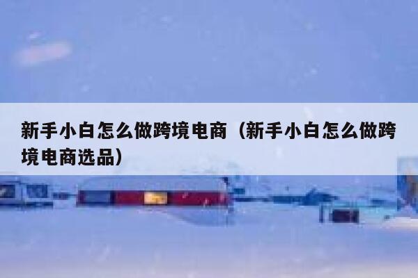 新手小白怎么做跨境电商(新手小白怎么做跨境电商选品) 第1张 新手小白怎么做跨境电商(新手小白怎么做跨境电商选品) 第1张