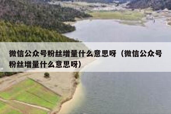 微信公众号粉丝增量什么意思呀（微信公众号粉丝增量什么意思呀） 第1张