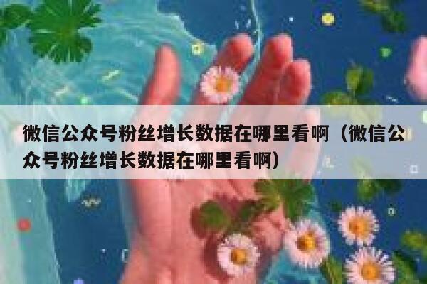 微信公众号粉丝增长数据在哪里看啊(微信公众号粉丝增长数据在哪里看啊) 第1张 微信公众号粉丝增长数据在哪里看啊(微信公众号粉丝增长数据在哪里看啊) 第1张