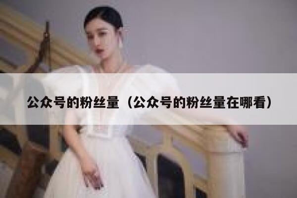 公众号的粉丝量（公众号的粉丝量在哪看） 第1张