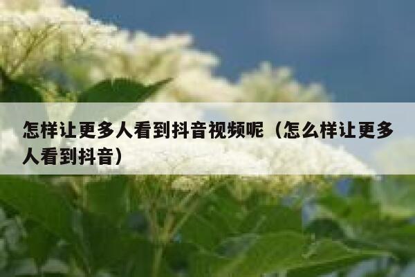 怎样让更多人看到抖音视频呢（怎么样让更多人看到抖音） 第1张